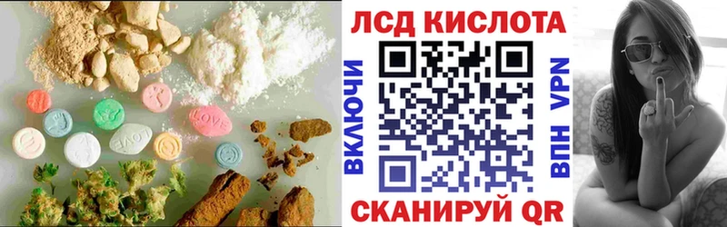 где можно купить наркотик  Опочка  hydra как войти  Лсд 25 экстази кислота 