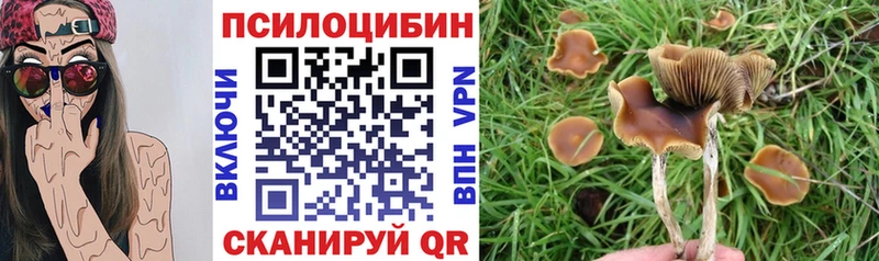 Галлюциногенные грибы мицелий  Опочка 